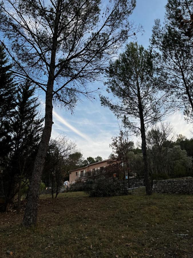 Natur & Jasmin Chambres D'Hotes Naturistes En Provence Lorgues Kültér fotó
